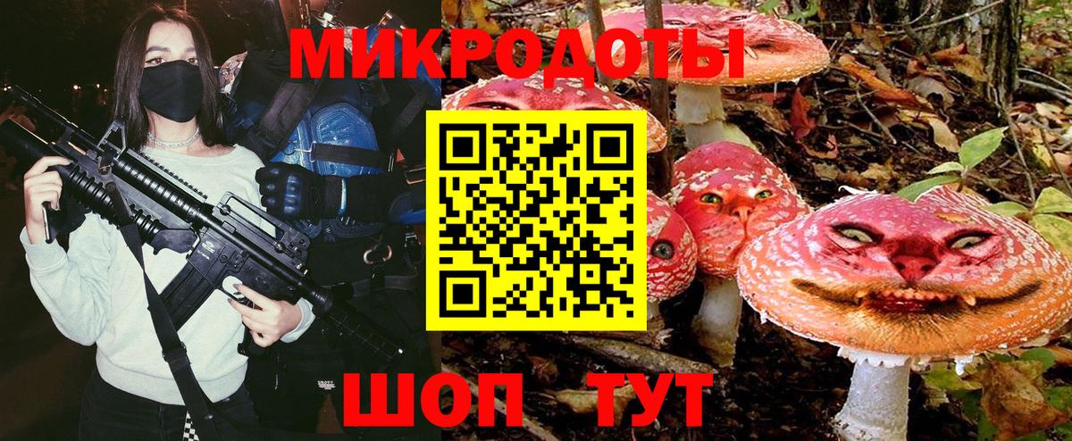 Псилоцибиновые грибы Psilocybine cubensis Ростов Великий